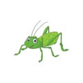 Cute grasshopper cartoon isolated on white background