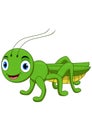 Cute grasshopper cartoon isolated on white background