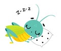 Cute grasshopper sleeping on pillow. Funny insect cartoon character vector illustration