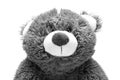 Cute gray bear. The toy is soft. Plush. Muzzle. Ears of paws and head. On white background. Black and white. Colorless