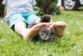 Cute gray-brown tabby kitten sits near the small bare feet of a child on the lawn