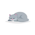 Cute gray cartoon cat sleep. Domestic relaxing farm animal. Pet drawing. Flat comic style. Ideal for education. Vector illustratio Royalty Free Stock Photo
