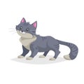 Cute gray cartoon cat stand. Domestic farm animal. Pet drawing. Flat comic style. Ideal for education. Vector illustration Royalty Free Stock Photo