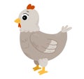 Cute gray cartoon chicken. Farm animal. Broody hen Royalty Free Stock Photo