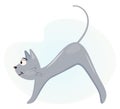 Cute gray cat arches its back vector illustration in flat style, pet. Funny cat stretches. Athlete cat. Banner, poster.