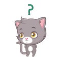 Cute gray cat being confused