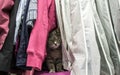 Cute gray cat is hiding among the clothes in the closet. He looks wary: And then they found him Royalty Free Stock Photo