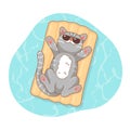 Gray cat lies on air mattress on pool isolated