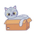 Cute gray cat lying in the cardboard box cartoon Royalty Free Stock Photo