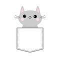 Cute Gray Cat In The Pocket. Pink Cheeks. Doodle Contour Linear Sketch. Cartoon Animals. Kitten Kitty Character. Dash Line. Pet An