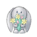 cute gray fluffy easter bunny with a bouquet of flowers daffodils and tulips on a white background