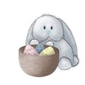 cute gray fluffy easter bunny with eggs in basket isolated on white background