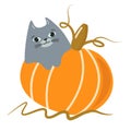 Cute gray good-natured cat on a pumpkin a Halloween. Isolated vector illustration on transparent background. For Royalty Free Stock Photo