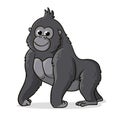 Cute gray gorilla is standing on a white background. Vector illustration with an animal in cartoon style