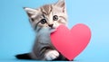 A cute gray kitten holds a heart in its paws