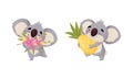 Cute Gray Koala Bear Carrying Bunch of Flowers and Pineapple Vector Set