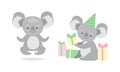 Cute Gray Koala Bear Meditating in Lotus Yoga Pose and Holding Gift Box Vector Set