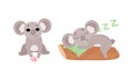 Cute Gray Koala Bear Sleeping on Log and Sitting Vector Set Royalty Free Stock Photo