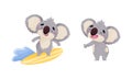 Cute Gray Koala Bear Surfboarding and Standing Vector Set Royalty Free Stock Photo