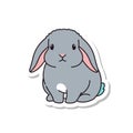 Cute Gray Lop Eared Bunny Rabbit Sticker Illustration Royalty Free Stock Photo