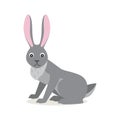 Cute gray rabbit hare isolated on white background Royalty Free Stock Photo