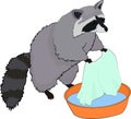 Cute raccoon washes clothes. Vector illustration.
