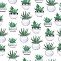 Cute green agava and cactus seamless pattern. Watercolor.