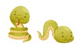 Cute Green Baby Snake as Crawling Creature Coiled and Slithering on the Ground Vector Set