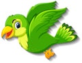 Cute green bird cartoon character Royalty Free Stock Photo