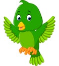 Cute green bird cartoon