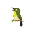 Cute green bird cartoon singing Royalty Free Stock Photo