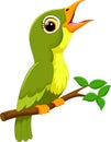 Cute green bird cartoon singing