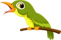 Cute green bird cartoon singing