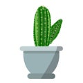 Cute green cactus plant vector icon in grey flower pot isolated on white background