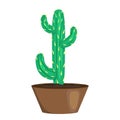 Cute green cactus pot icon, cartoon style Royalty Free Stock Photo