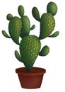 Cute green cactus in a pot