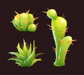 Cute green cactuses and aloe vera in cartoon style