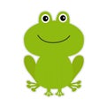 Cute green cartoon frog. Royalty Free Stock Photo