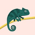 Cute green chameleon walking on tree branch, vector illustration