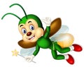 Cute Green Fireflies Flying Wearing Red Shoes Cartoon