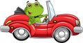 Cute Green Frog Cartoon Character Drives A Red Sports Car Royalty Free Stock Photo