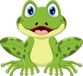 Cute green frog cartoon