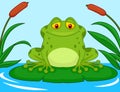 Cute green frog cartoon on a lily pad Royalty Free Stock Photo