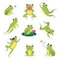 Cute Green Frog Jumping, Sitting on Leaf and Catching Fly Vector Set Royalty Free Stock Photo