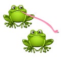 Cute green frog with long pink tongue isolated on white background. Vector cartoon close-up illustration. Royalty Free Stock Photo