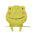 Cute green funny frog amphibian animal character cartoon vector illustration Royalty Free Stock Photo