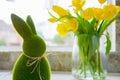 Cute green grass bunny rabbit and bouquet of fresh spring yellow tulips and daffodils flowers on the white kitchen table near the Royalty Free Stock Photo