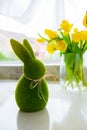 Cute green grass bunny rabbit and bouquet of fresh spring yellow tulips and daffodils flowers on the white kitchen table Royalty Free Stock Photo