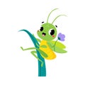 Cute Green Grasshopper Character Climb Grass Blade Vector Illustration