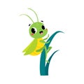 Cute Green Grasshopper Character Climb Grass Blade Vector Illustration